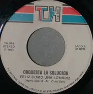 Orquesta La Solucion - Feliz Como Una Lombriz