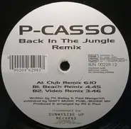 P-Casso - Back In The Jungle (Remix)