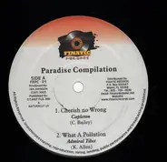 Paradise Compilation - Cherish No Wrong / What A Pollution
