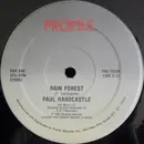 12'' - Paul Hardcastle - Rain Forest / Sound Chaser