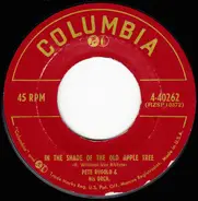 Pete Rugolo Orchestra - In The Shade Of The Old Apple Tree / Mañana