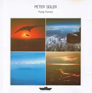 Peter Seiler - Flying Frames