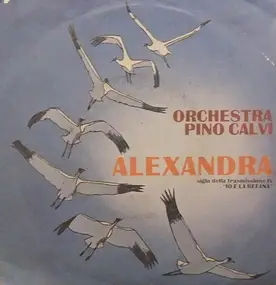 Pino calvi - Alexandra
