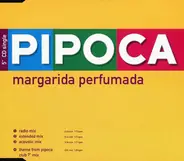 Pipoca - Margarida Perfumada