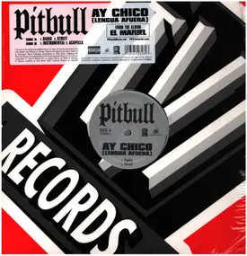 Pitbull - AY Chico