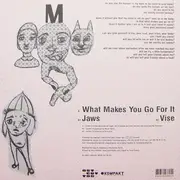 12inch Vinyl Single - Prosumer & Murat Tepeli - What Makes You Go For It