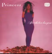 Princess - After The Love Has Gone