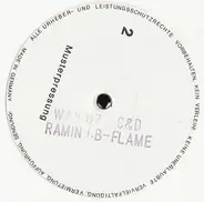 Ramin Naghachian - Unknown Call