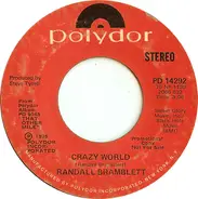 Randall Bramblett - Crazy World