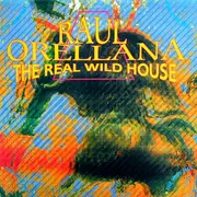 12inch Vinyl Single - Raúl Orellana - The Real Wild House (The Wild Mix)