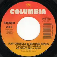 Ray Charles - We Didn't See A Thing