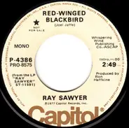 Ray Sawyer - Red-Winged Blackbird