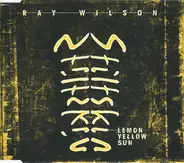 Ray Wilson & Stiltskin - Lemon Yellow Sun