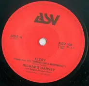Richard Harvey - Elegy