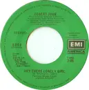 7inch Vinyl Single - Robert John - Hey There Lonely Girl