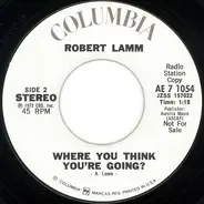 Robert Lamm - Where You Think You're Going?