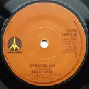 7'' - Robert Knight - Everlasting Love