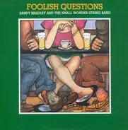 Sandy Bradley And The Small Wonder String Band - Foolish Questions