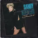 7inch Vinyl Single - Sandy Stevens - Lies