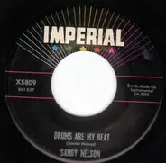 Sandy Nelson - Drums Are My Beat / The Birth Of The Beat