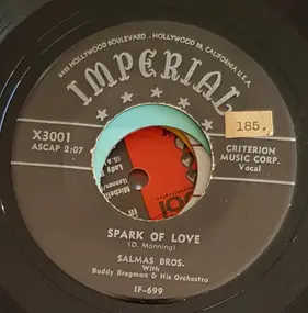 9724136 - Spark Of Love / Never A Day Goes By