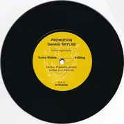 7inch Vinyl Single - Skylab - Promotion