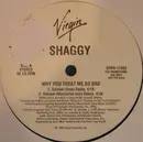 12'' - Shaggy - Why You Treat Me So Bad