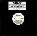 12inch Vinyl Single - Shaggy - Why You Treat Me So Bad (The Salaam Mixes)