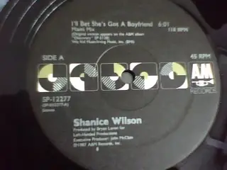 Shanice Wilson - I'll Bet She's Got A Boyfriend