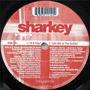 12'' - Sharkey - Summer In The City (Lovin' It)