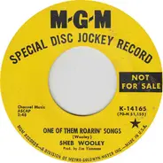 Sheb Wooley - I Don't Belong In Her Arms