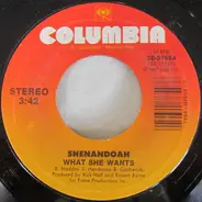 Shenandoah - Stop The Rain