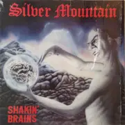 LP - Silver Mountain - Shakin' Brains