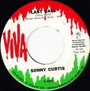 Sonny Curtis - My Way Of Life