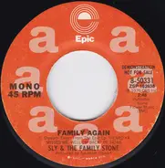 Sly & The Family Stone - Family Again