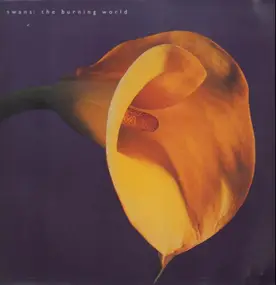 Swans - The Burning World