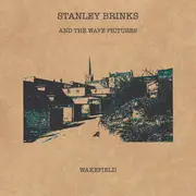 7inch Vinyl Single - Stanley Brinks And The Wave Pictures - Wakefield - Blue