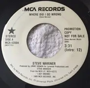 Steve Wariner - Where Did I Go Wrong