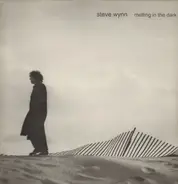 Steve Wynn - Melting in the Dark