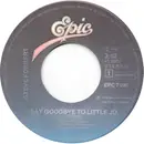 7inch Vinyl Single - Steve Forbert - Say Goodbye To Little Jo