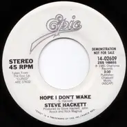 Steve Hackett - Hope I Don't Wake