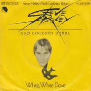 Steve Harley & Cockney Rebel - White, White Dove