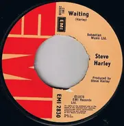 Steve Harley - Roll The Dice