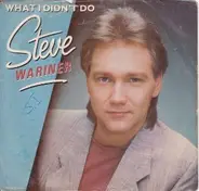 Steve Wariner - What I Didn't Do