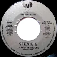 Stevie B., Stevie B - I Wanna Be The One
