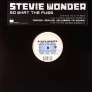 Stevie Wonder Feat. Q-Tip - So What The Fuss