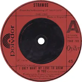 The Strawbs - I Only Want My Love To Grow In You