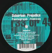 Suburban Prejudice - Pantograph Remixes
